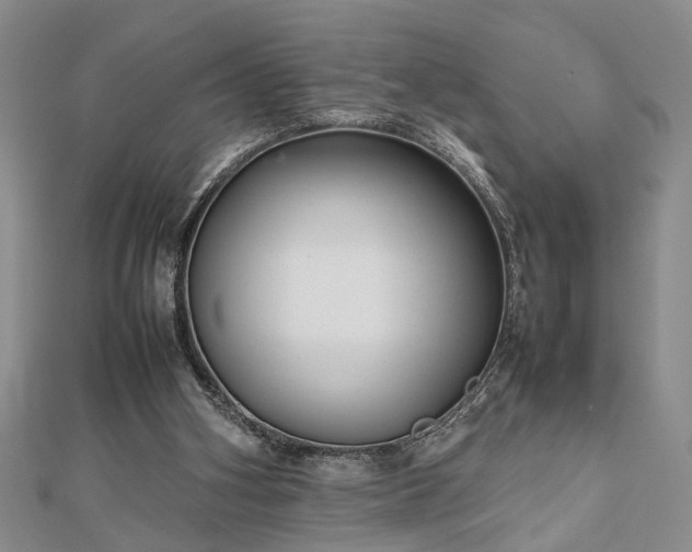 X0000112470106200908241241