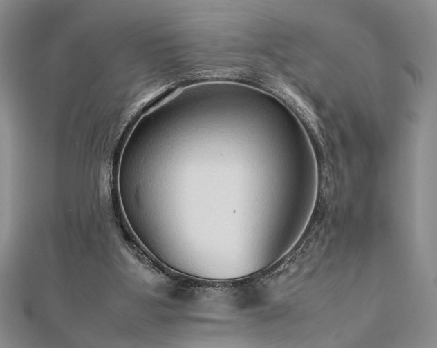 X0000112470107200908241241