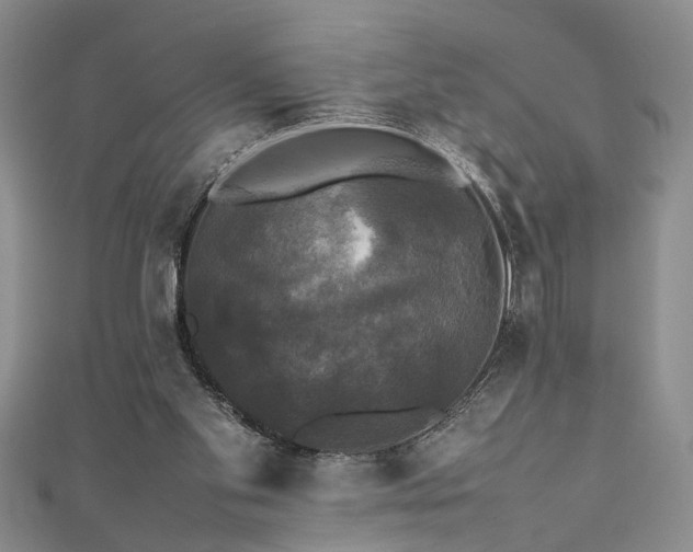 X0000112470109200908241241