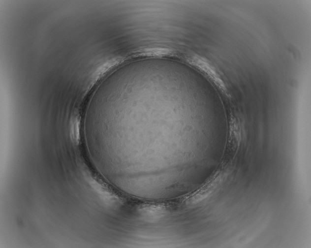 X0000112470110200908241241