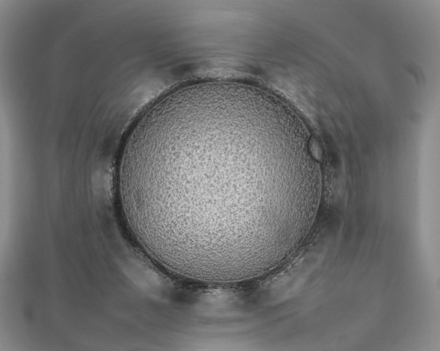 X0000112470111200908241241