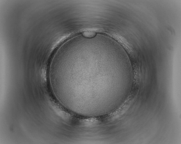 X0000112470112200908241241