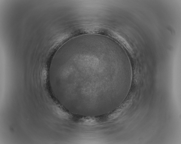 X0000112470113200908241241