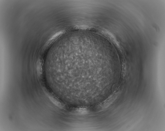 X0000112470114200908241241