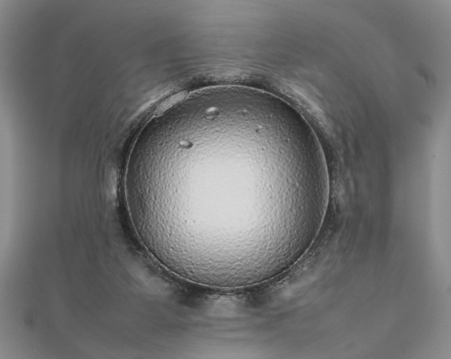 X0000112470115200908241241