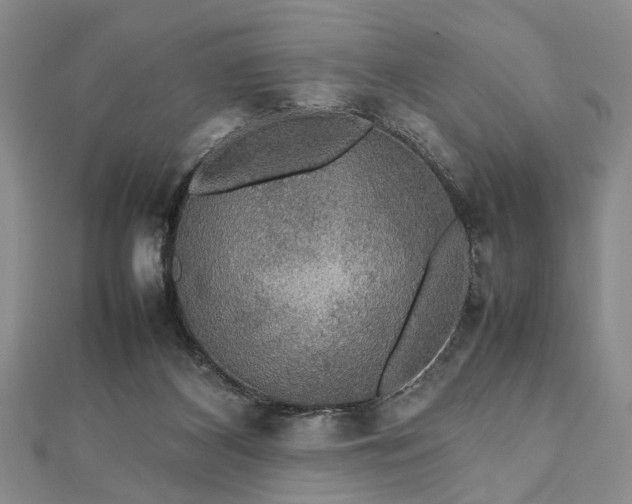 X0000112470116200908241241