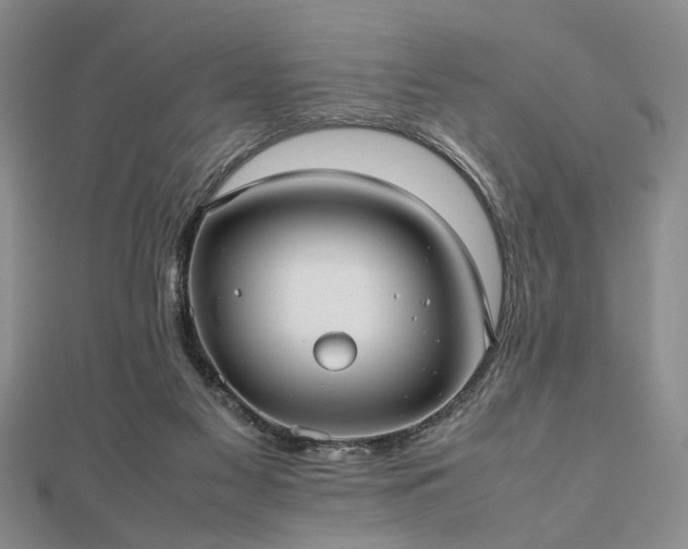 X0000112470117200908241241