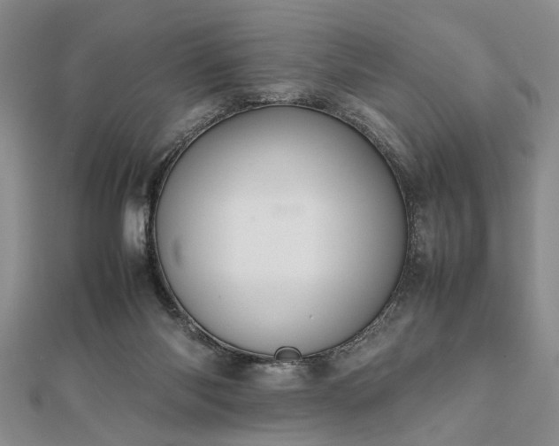 X0000112470118200908241241