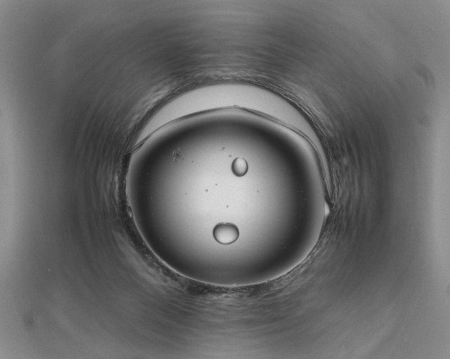 X0000112470120200908241241