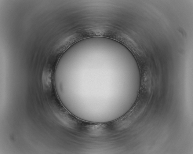 X0000112470122200908241241