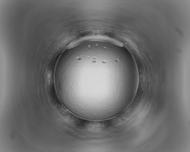 X0000112470123200908241241