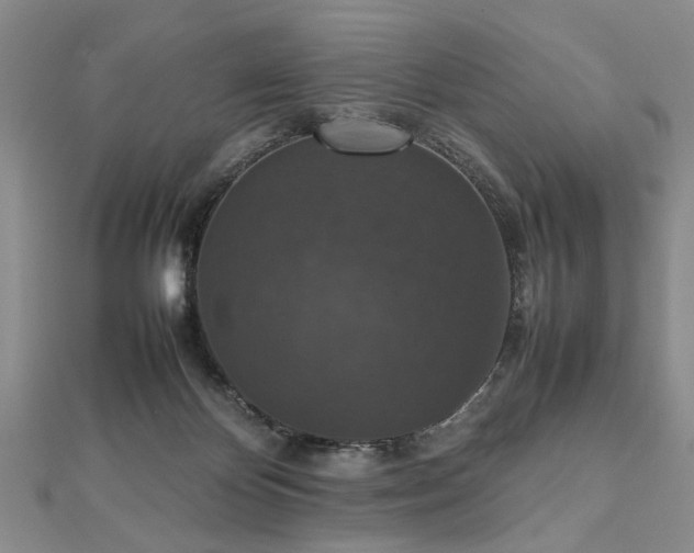 X0000112470124200908241241