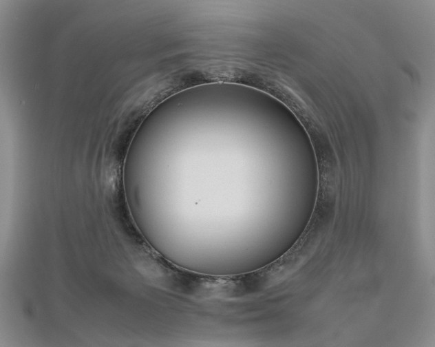 X0000112470125200908241241