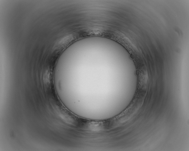 X0000112470126200908241241