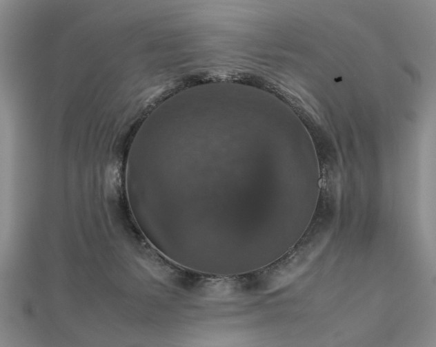 X0000112470127200908241241