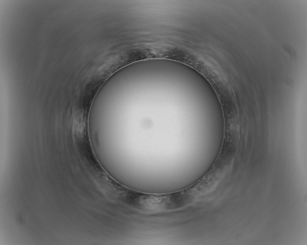 X0000112470129200908241241