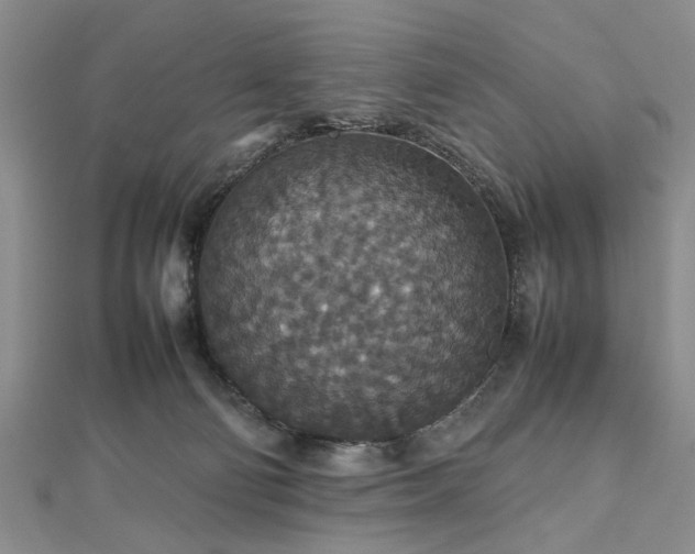 X0000112470130200908241241