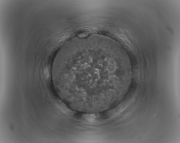 X0000112470131200908241241