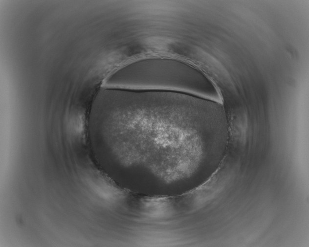 X0000112470132200908241241