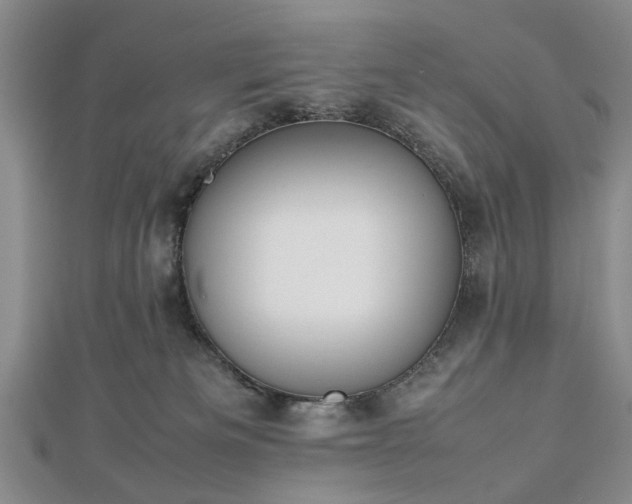 X0000112470133200908241241