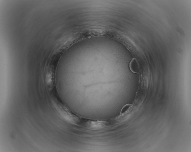 X0000112470134200908241241