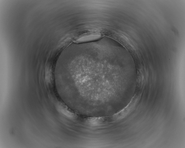 X0000112470136200908241241