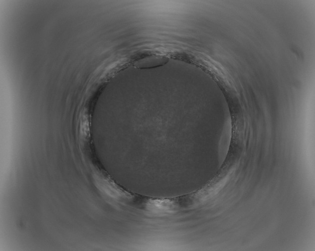 X0000112470137200908241241