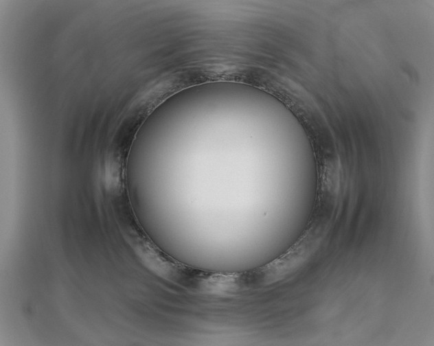 X0000112470138200908241241