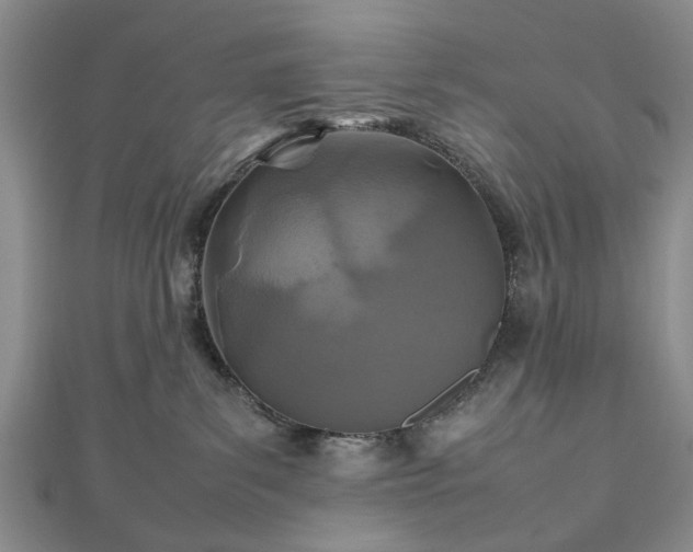 X0000112470139200908241241