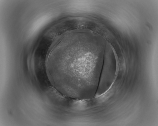 X0000112470140200908241241