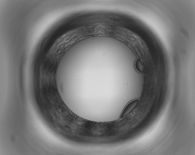 X0000112470142200908241241