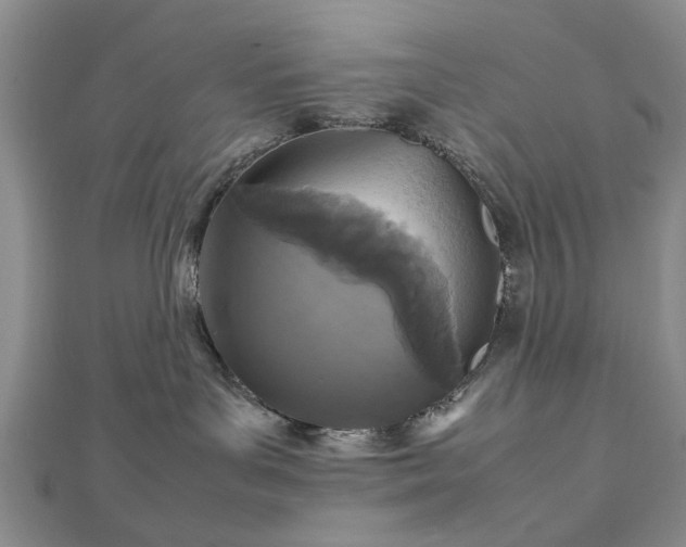 X0000112470143200908241241