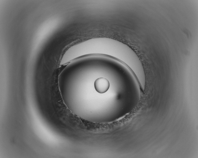 X0000112470144200908241241