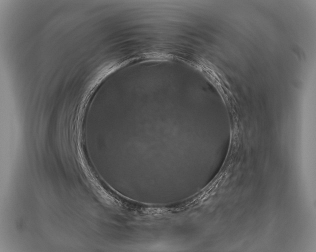 X0000112470145200908241240