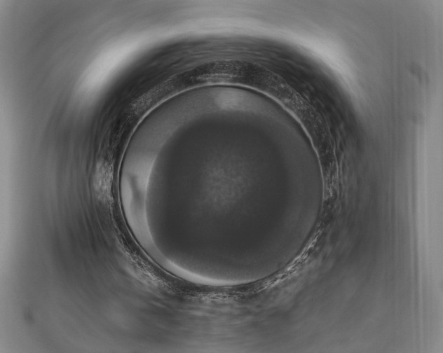 X0000112470146200908241240