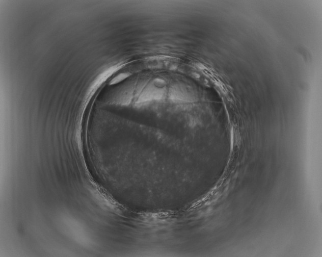 X0000112470147200908241240