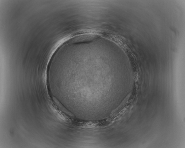 X0000112470148200908241240