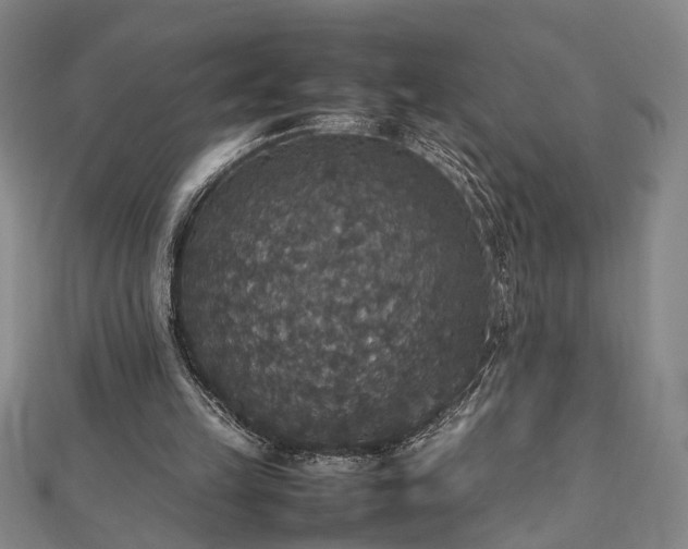 X0000112470149200908241240