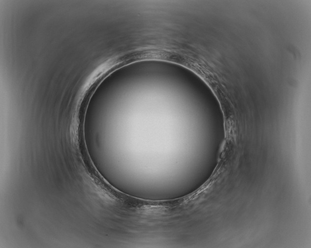 X0000112470150200908241240