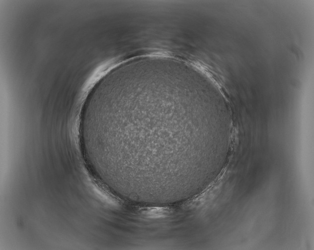 X0000112470151200908241240