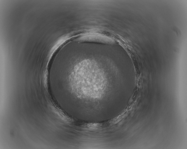 X0000112470152200908241240