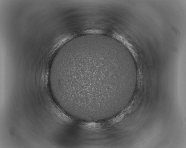 X0000112470153200908241240