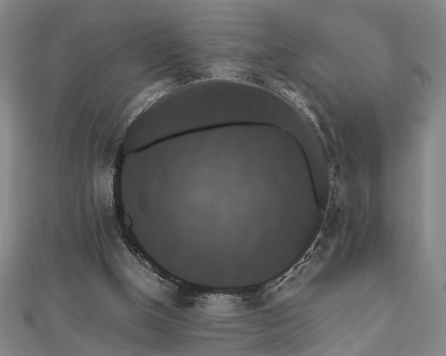 X0000112470154200908241240