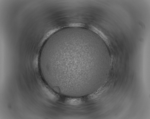 X0000112470155200908241240