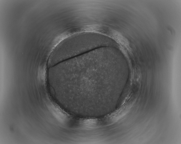 X0000112470156200908241240