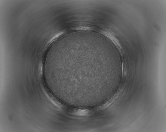 X0000112470157200908241240