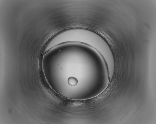 X0000112470158200908241240