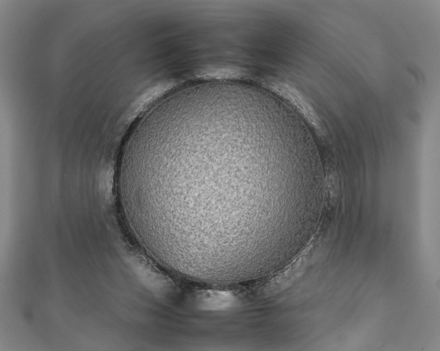 X0000112470159200908241240