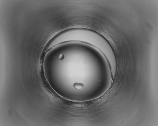 X0000112470160200908241240