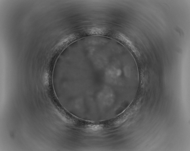 X0000112470161200908241240